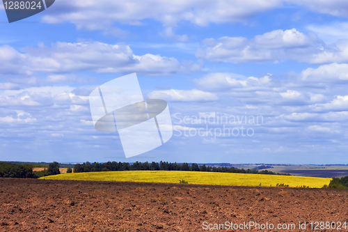 Image of Rural landscape