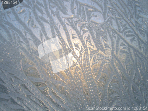 Image of frosty natural pattern