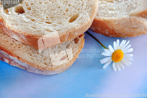 Image of White bread slices