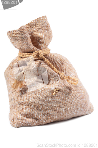 Image of Wheat falling from a hole in the bag