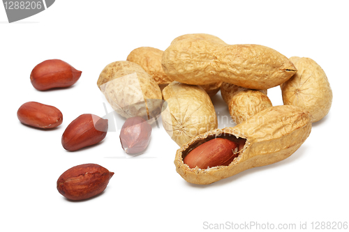 Image of nuts, peanuts in the shell on a white background