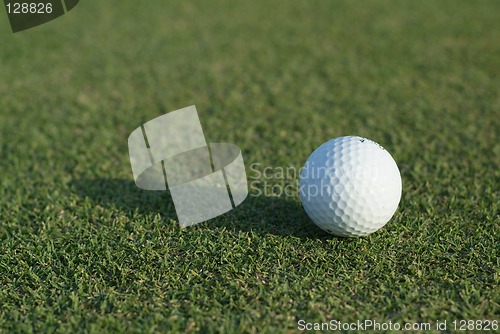 Image of Golf ball on green, close-up