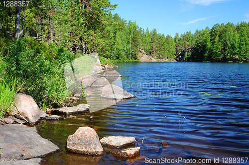 Image of Beautiful forest lake