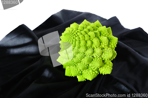 Image of Romanesco on black silk