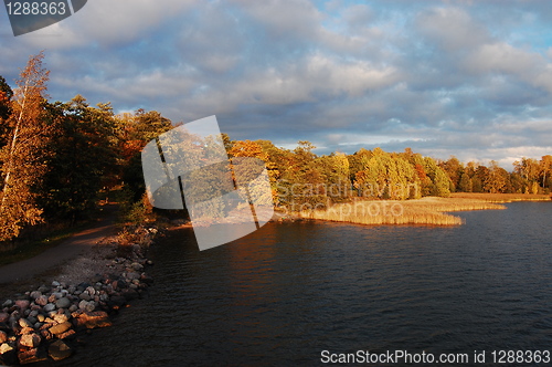 Image of Autumn in the park