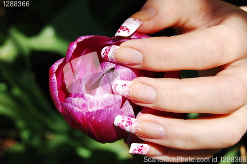Image of Manicure on long real nails