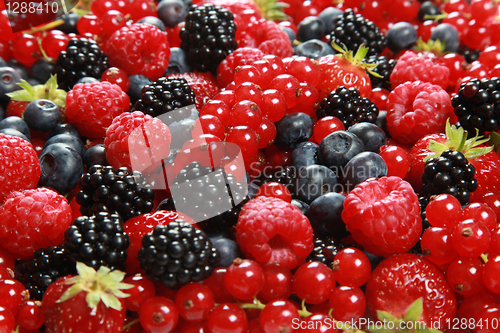 Image of Berry Mix