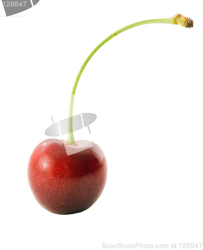 Image of Single cherry