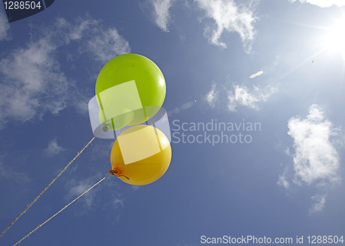 Image of balloons in the skies