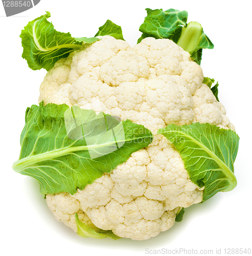 Image of Cauliflower