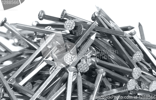 Image of Nails on white background