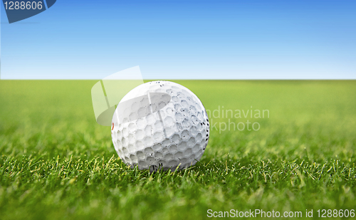 Image of white golf ball on a green golf course
