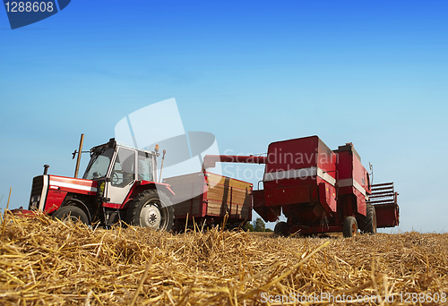 Image of Harvesting time 