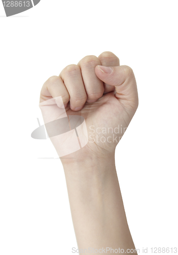 Image of female fist