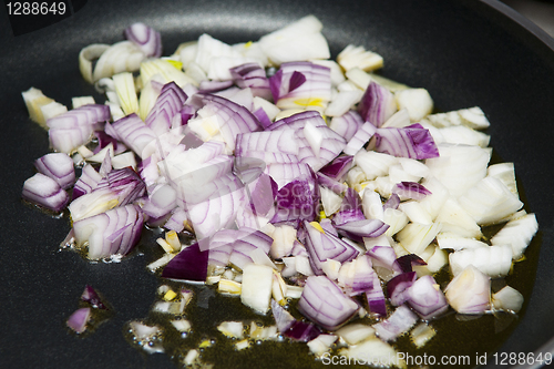Image of Onion