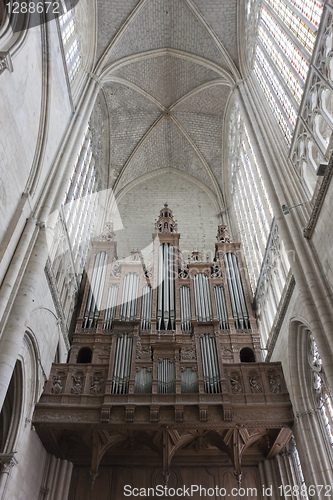 Image of Organ