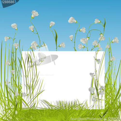 Image of White sing in the grass