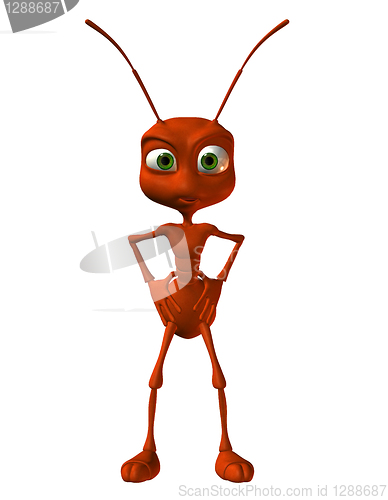 Image of little red ant