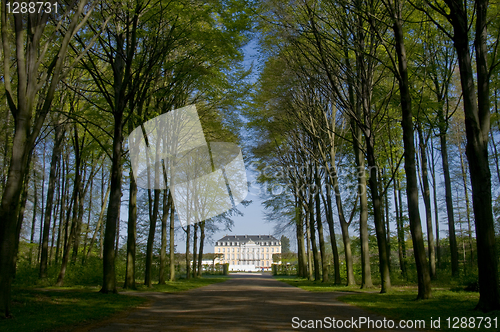 Image of Palace Augustusburg