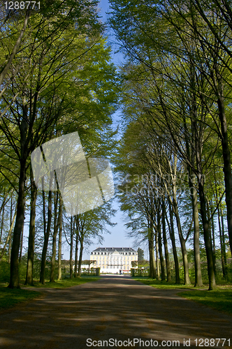 Image of Palace Augustusburg