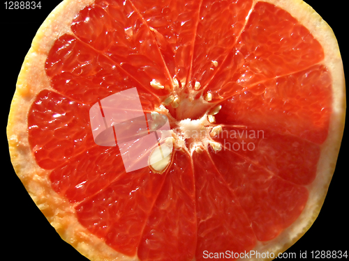 Image of close up of juicy red orange