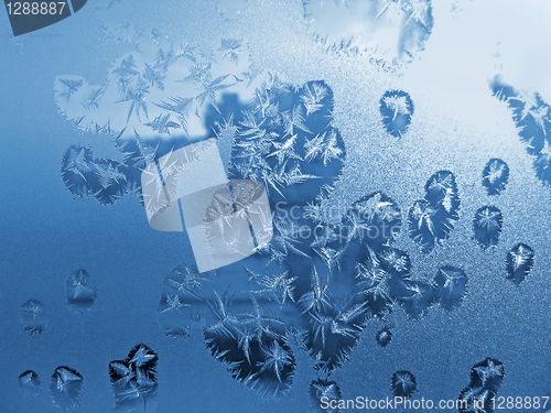 Image of frost icy flowers on a glass