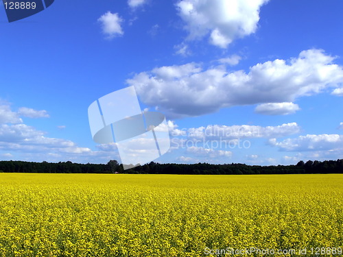 Image of Landscape