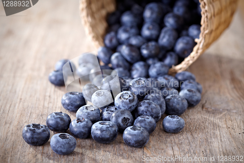 Image of fresh blueberries