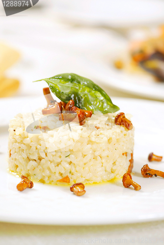 Image of Risotto with mushrooms