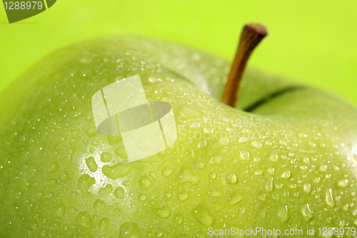 Image of fresh green apple