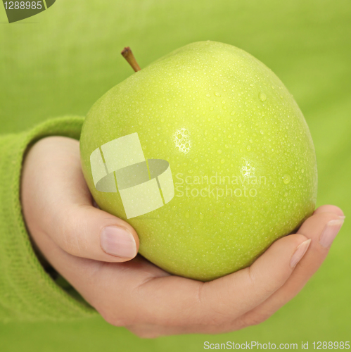 Image of green apple