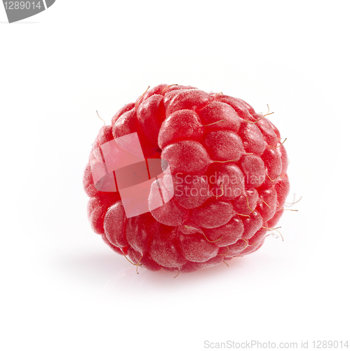 Image of raspberry macro