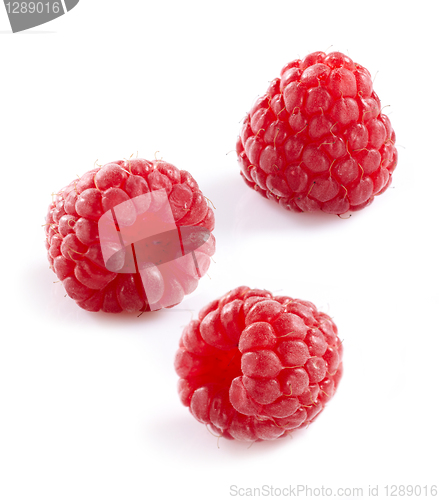 Image of three raspberries