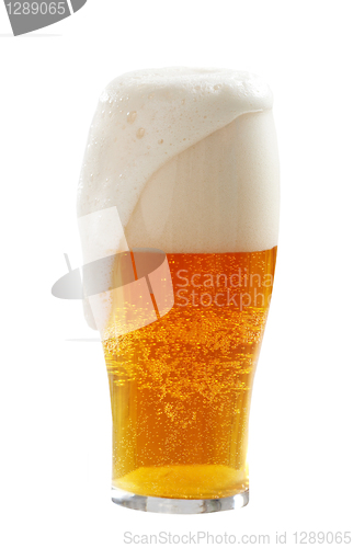 Image of fresh beer