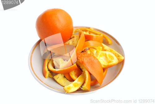 Image of orange