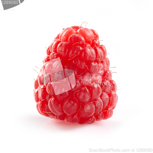 Image of fresh raspberry