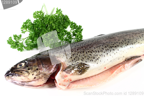 Image of Trout