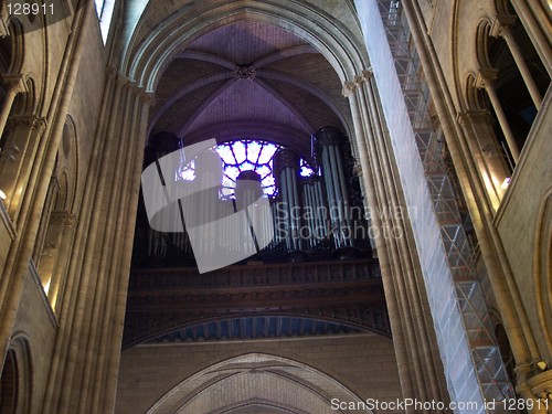 Image of Inside Notre Dame