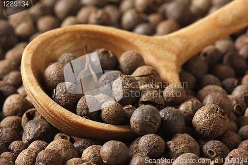 Image of black pepper