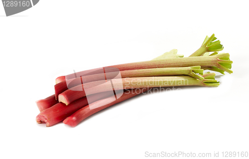 Image of fresh rhubarbs