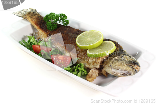 Image of fried trout