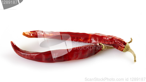 Image of chili pepper