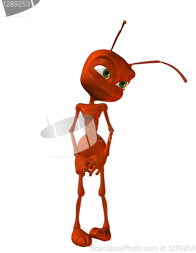 Image of little timid ant