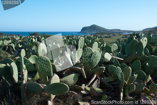 Image of Cabo de Gata