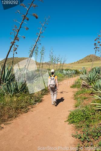 Image of Hiking