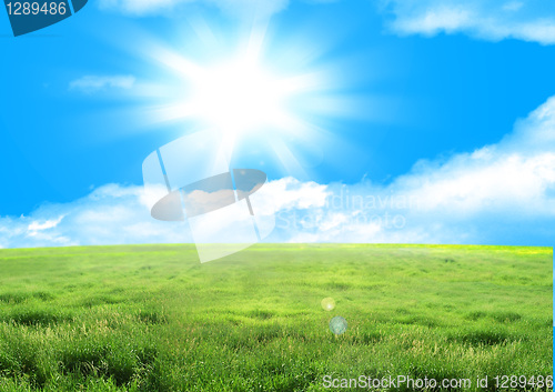 Image of green field and sun sky