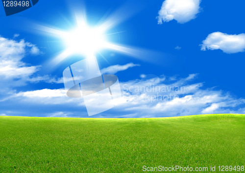 Image of green field and sun sky