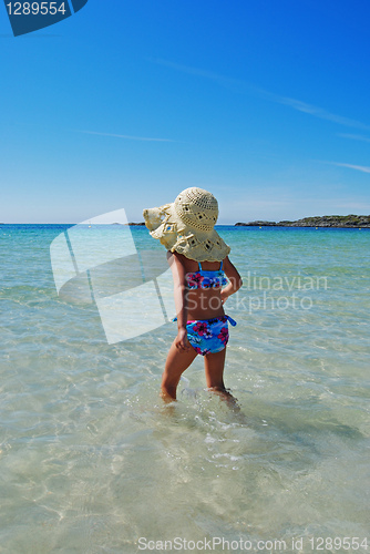 Image of in the sea