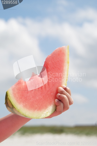 Image of melon on beach