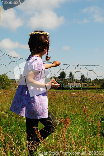Image of looking over fence